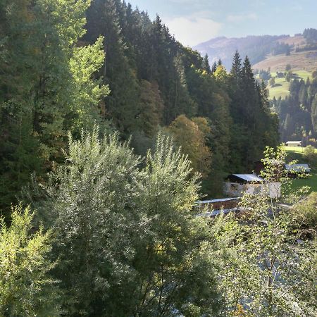 Apartment In Salzburgerland Near The Ski Area Viehhofen Esterno foto