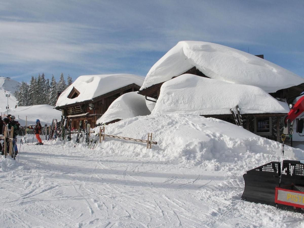 Apartment In Salzburgerland Near The Ski Area Viehhofen Esterno foto