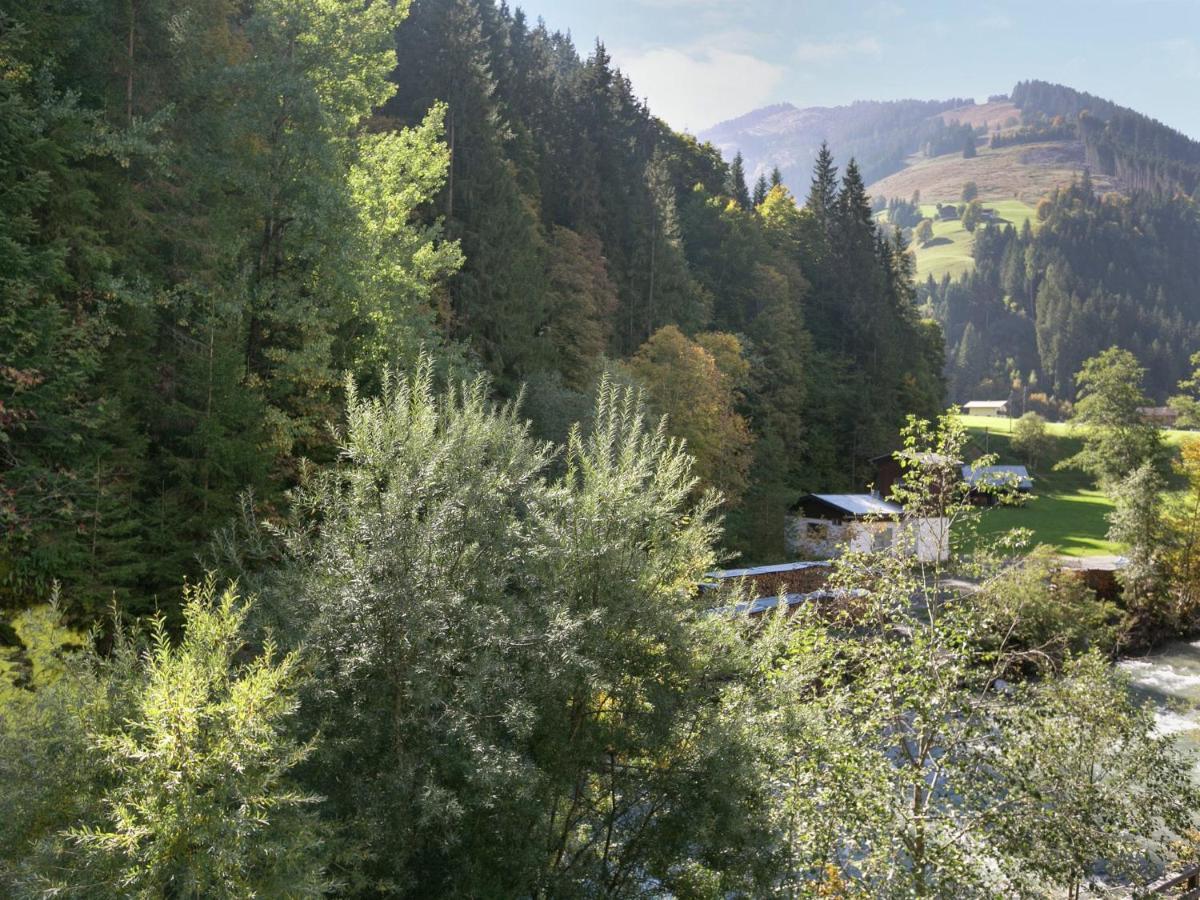 Apartment In Salzburgerland Near The Ski Area Viehhofen Esterno foto