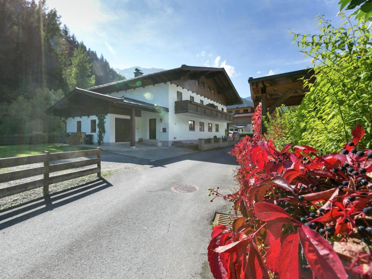 Apartment In Salzburgerland Near The Ski Area Viehhofen Esterno foto
