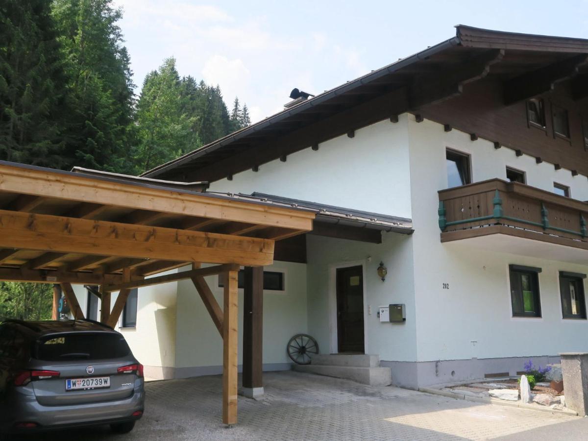 Apartment In Salzburgerland Near The Ski Area Viehhofen Esterno foto