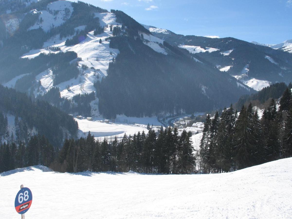 Apartment In Salzburgerland Near The Ski Area Viehhofen Esterno foto