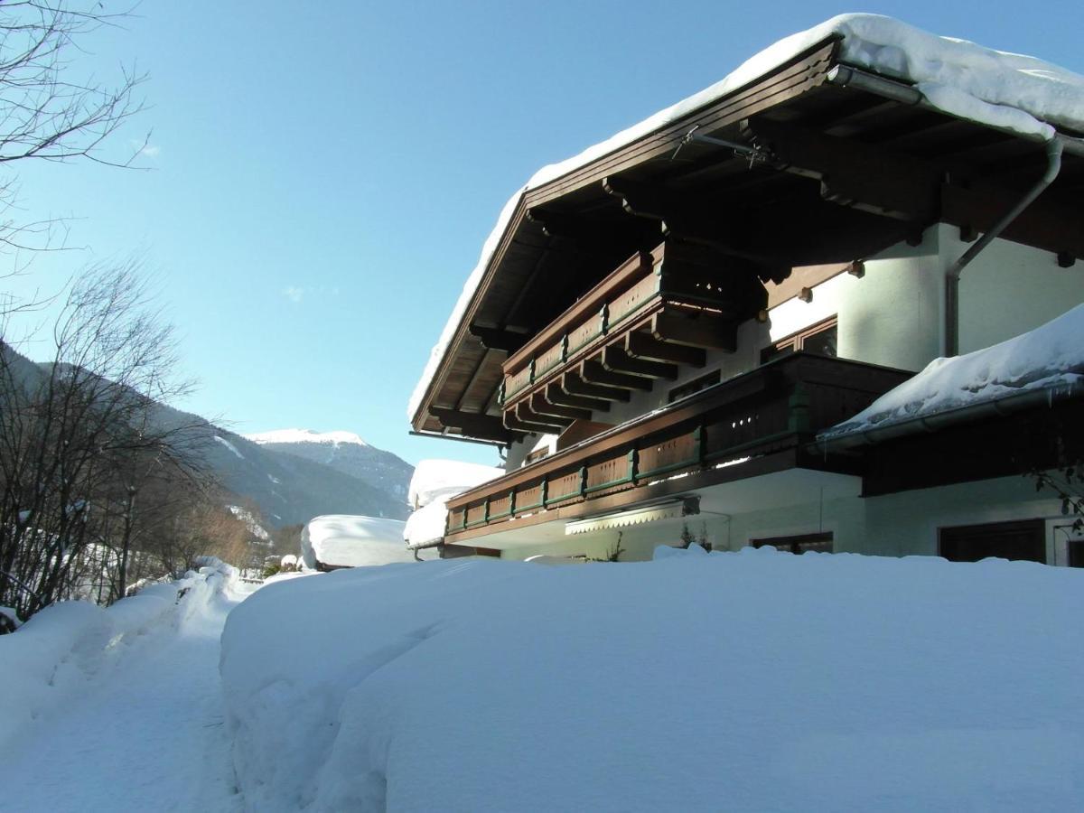 Apartment In Salzburgerland Near The Ski Area Viehhofen Esterno foto